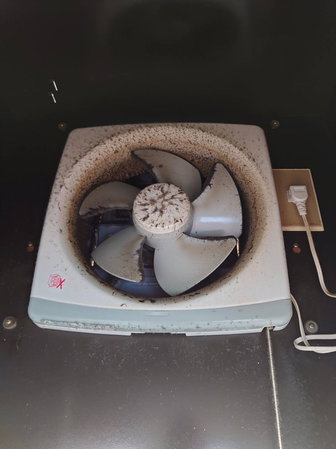 クリーニング前