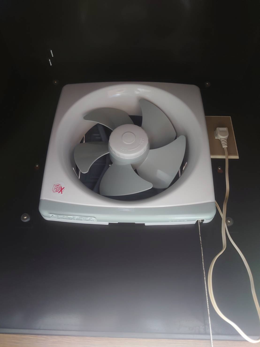 クリーニング後