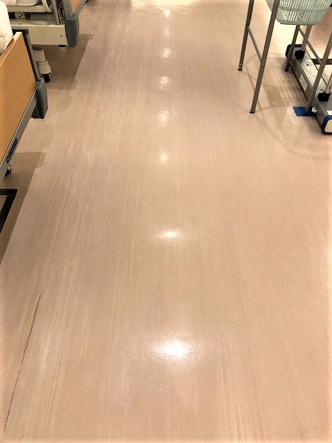 床クリーニング前